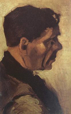 Head of a Peasant (nn04), Vincent Van Gogh